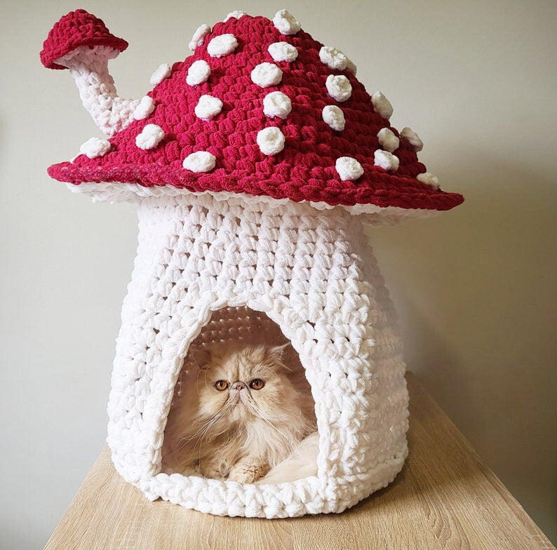 Mushroom cat best sale