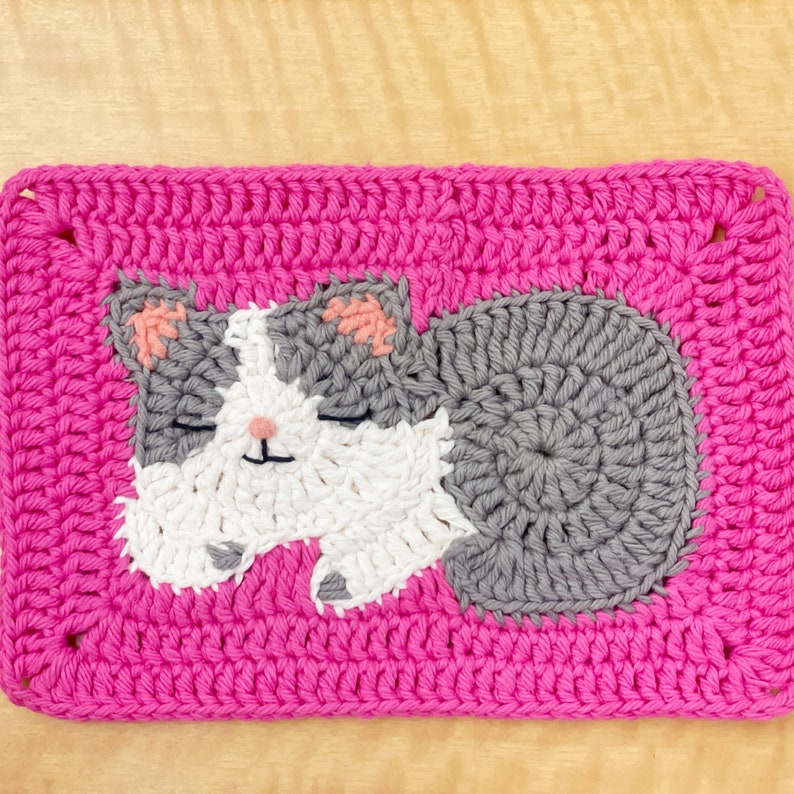 Cozy Cat Squares Crochet Pattern